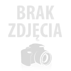GREEN BAY - ODKAMIENIACZ